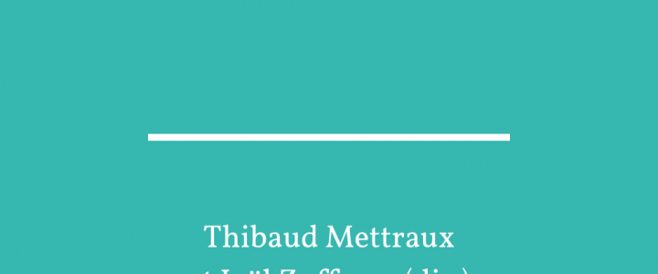 La dis/continuité textuelle